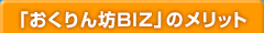 �u�������VBIZ�v�̃����b�g